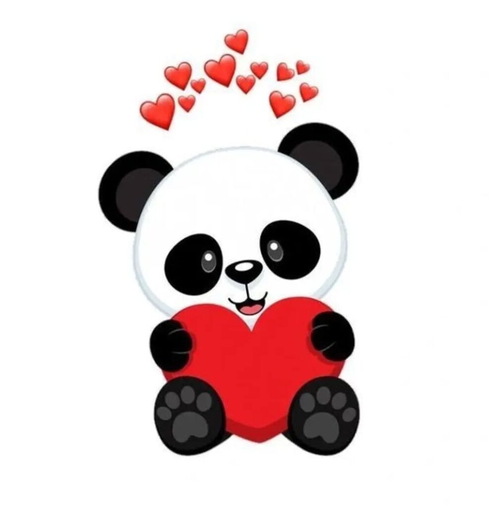 Attractive Whatsapp Dp